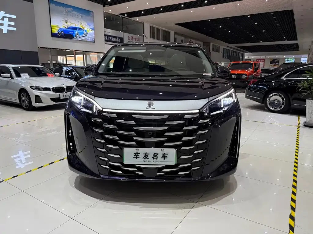 BYD Xia 2025 из CN, фото 3