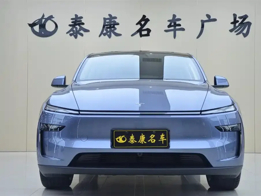 Tesla Model Y 2025 из CN, фото 2