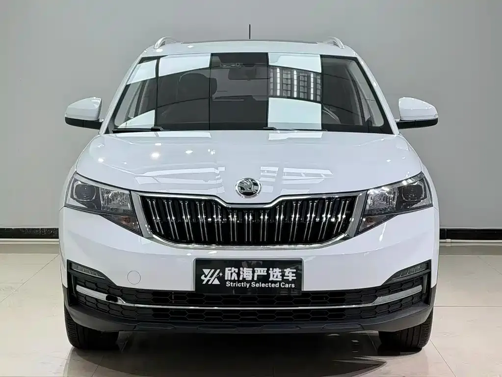 Skoda Kamiq 2023 из CN, фото 2