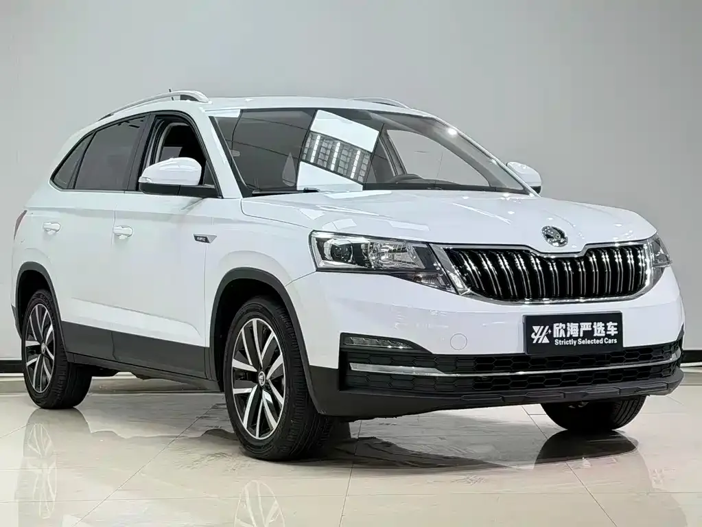 Skoda Kamiq 2023 из CN, фото 3