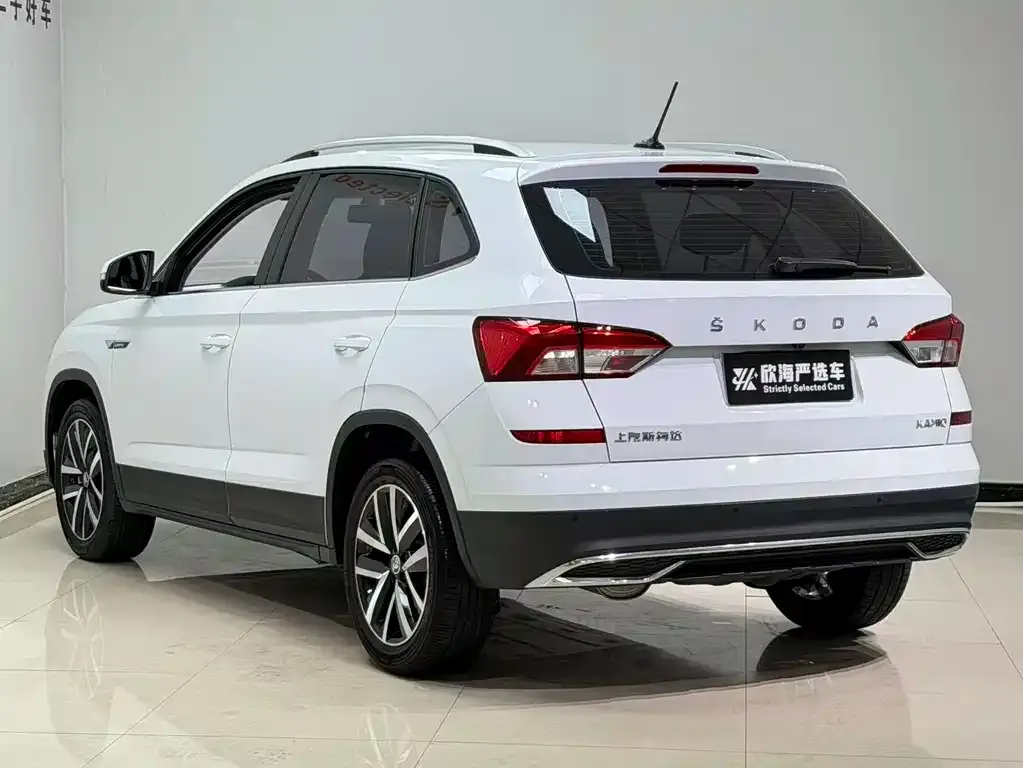 Skoda Kamiq 2023 из CN, фото 4
