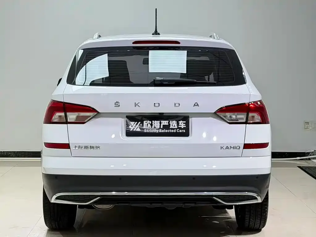 Skoda Kamiq 2023 из CN, фото 5