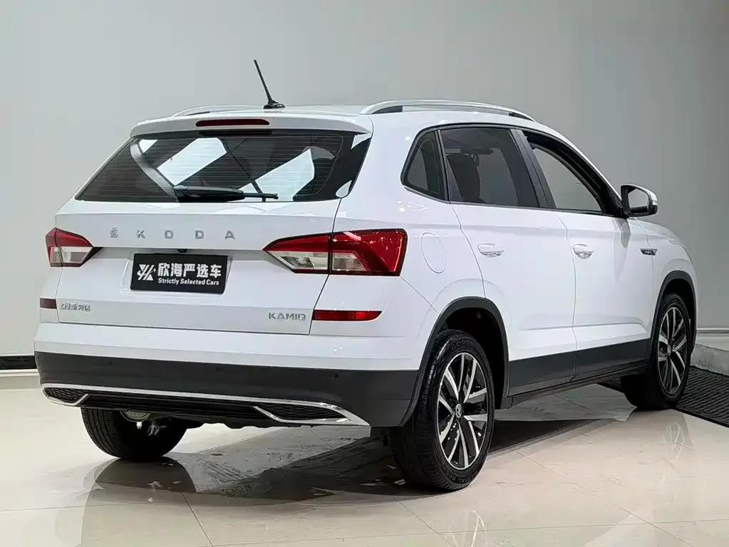 Skoda Kamiq 2023 из CN, фото 6