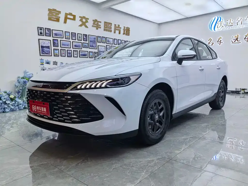 BYD Qin PLUS 2025 из CN, фото 1