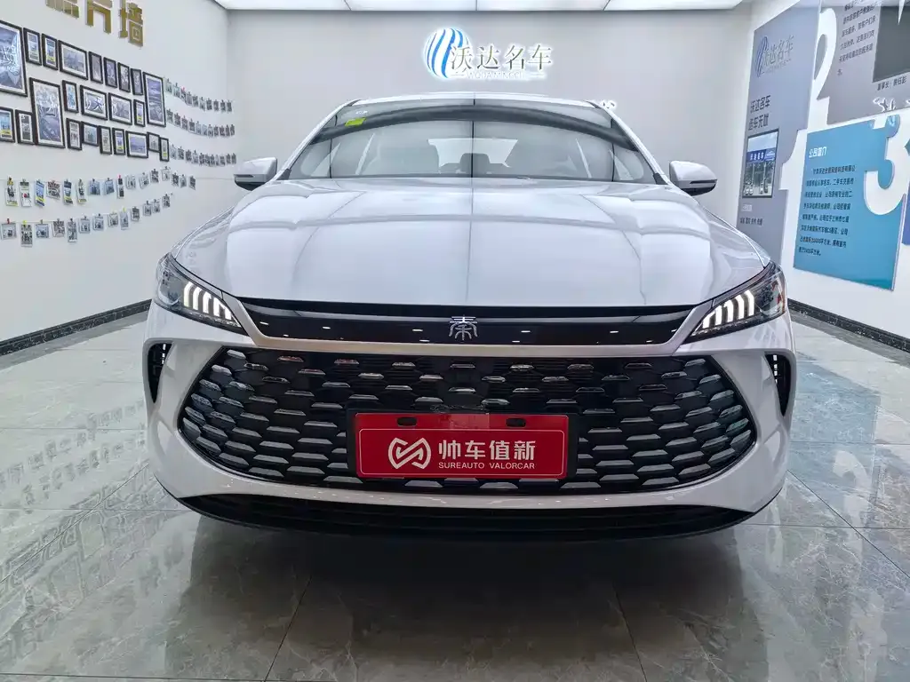 BYD Qin PLUS 2025 из CN, фото 2