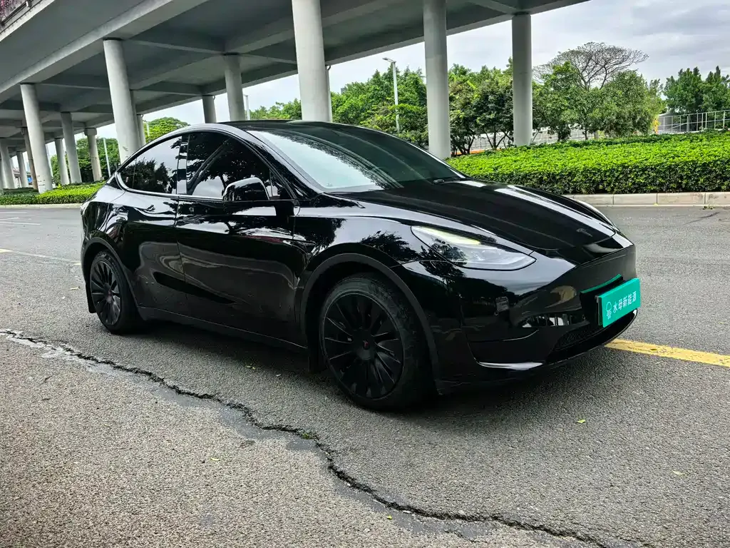 Tesla Model Y — фото 2