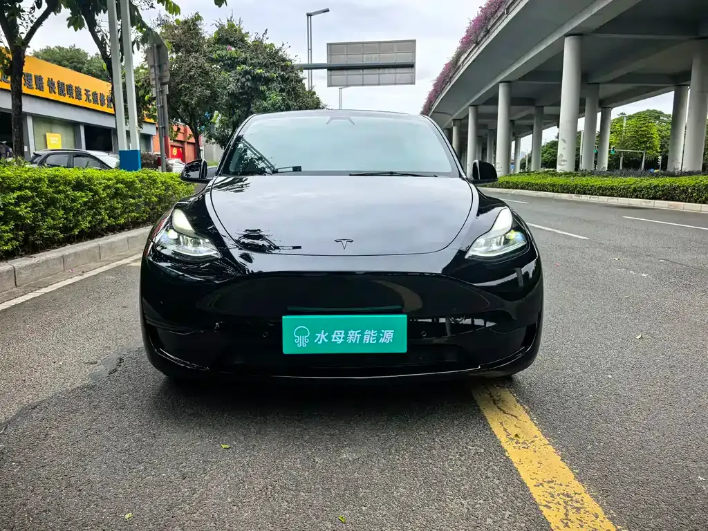 Tesla Model Y — фото 3