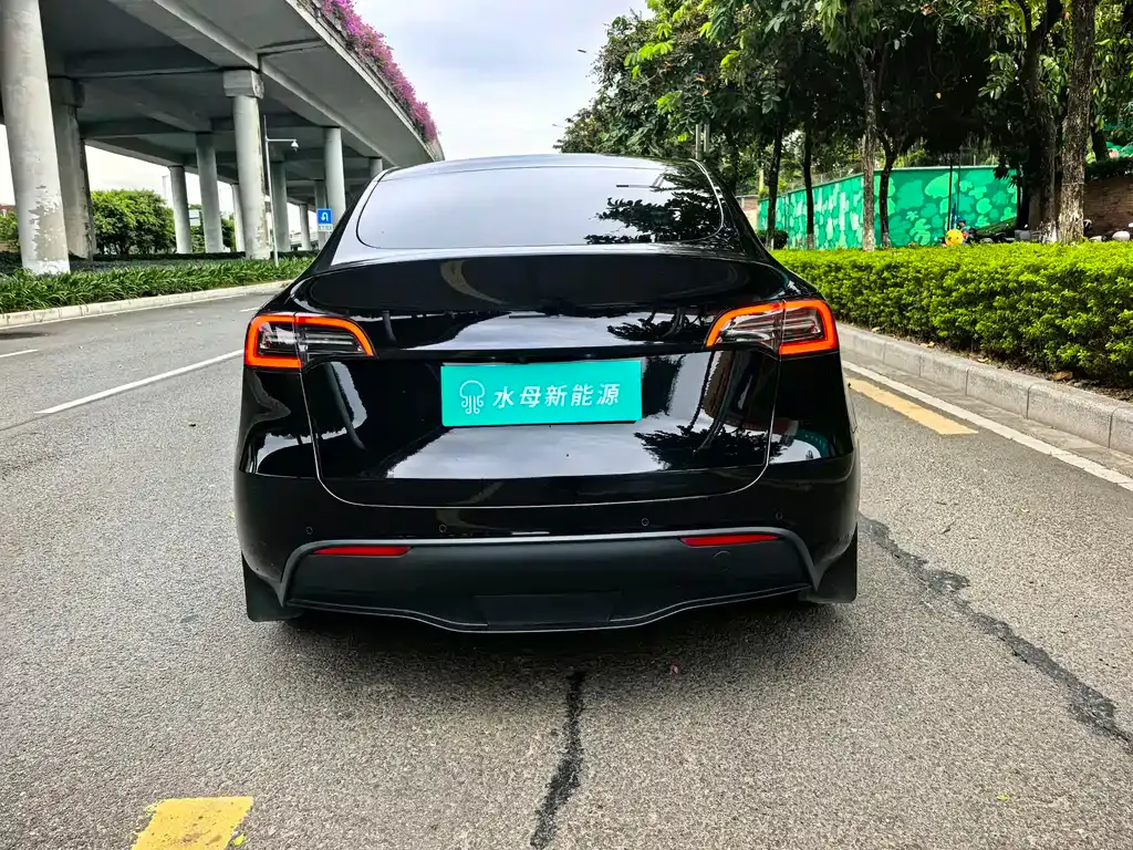 Tesla Model Y — фото 5