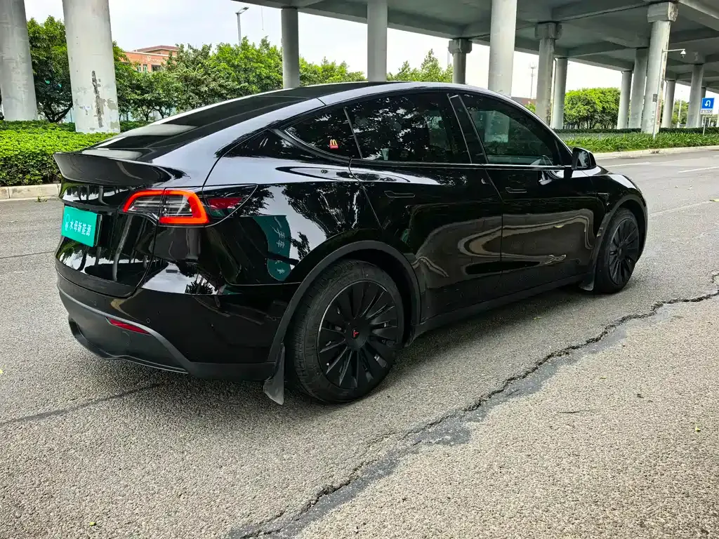 Tesla Model Y — фото 6