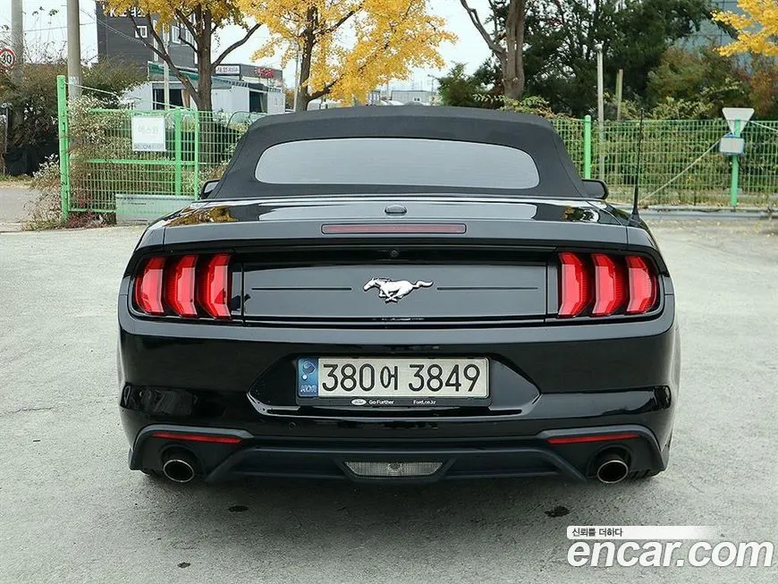 Ford Mustang 2021 из KR, фото 4