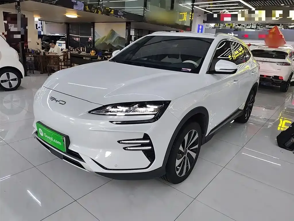 BYD PLUS New Energy 2024 из CN, фото 1