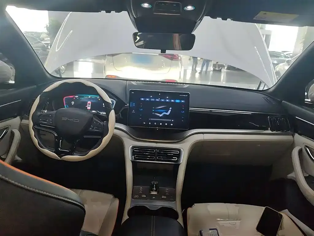 BYD PLUS New Energy 2024 из CN, фото 10