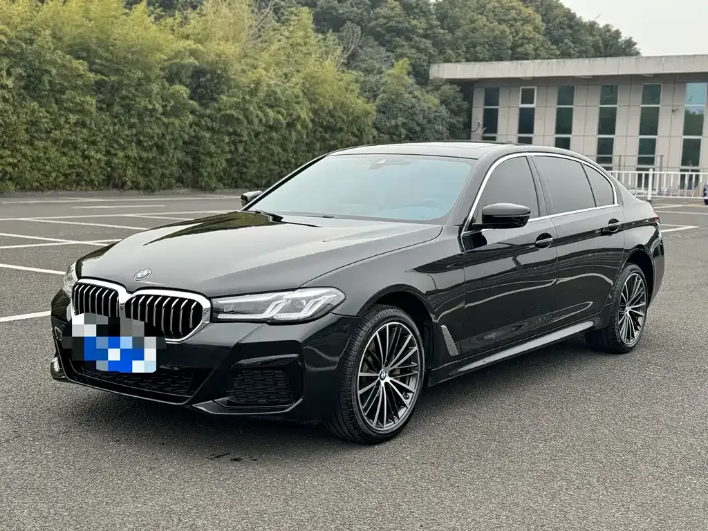 BMW 5 Series 2021 из CN, фото 1