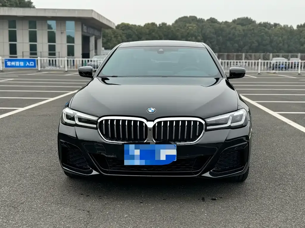 BMW 5 Series 2021 из CN, фото 2