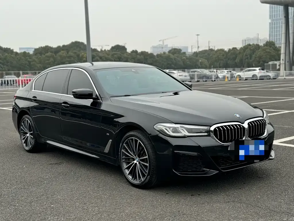 BMW 5 Series 2021 из CN, фото 3
