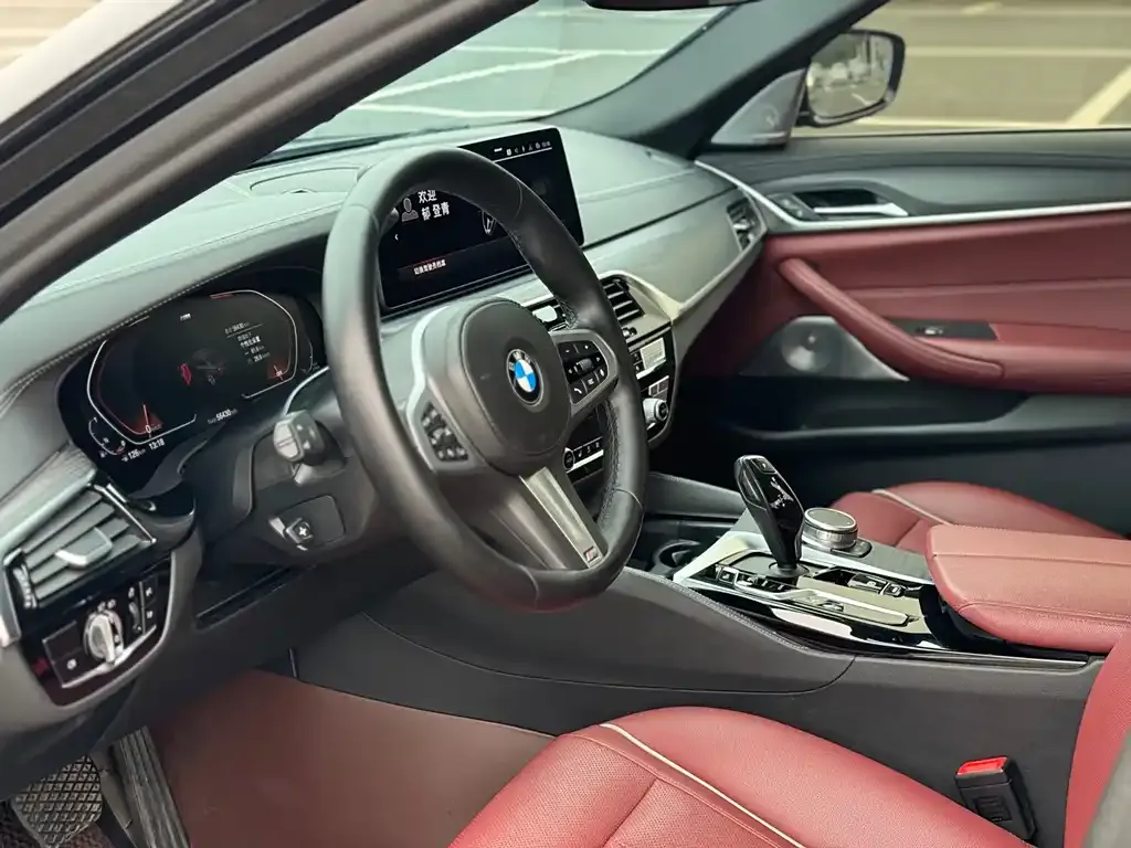 BMW 5 Series 2021 из CN, фото 4