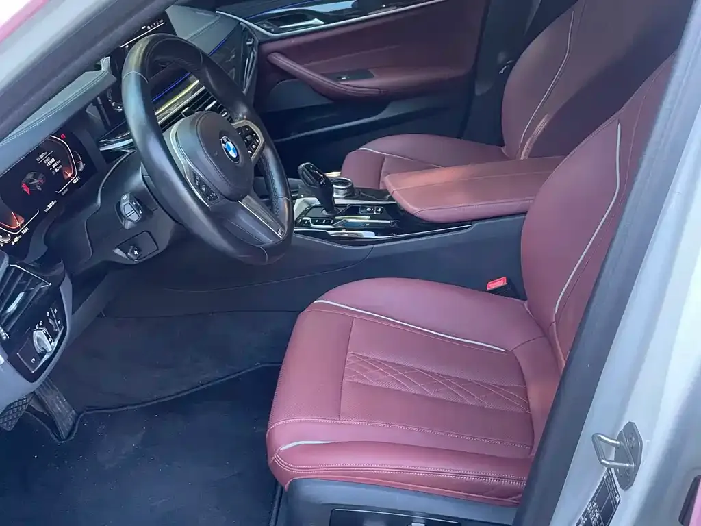 BMW 5 Series 2022 из CN, фото 4