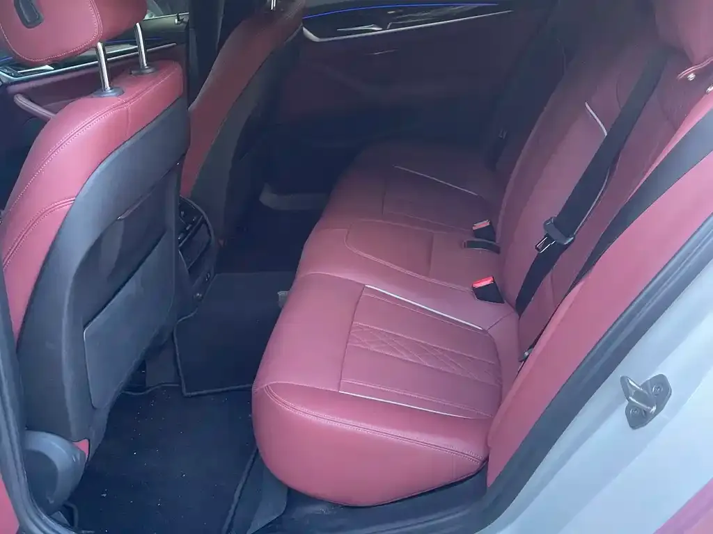 BMW 5 Series 2022 из CN, фото 7