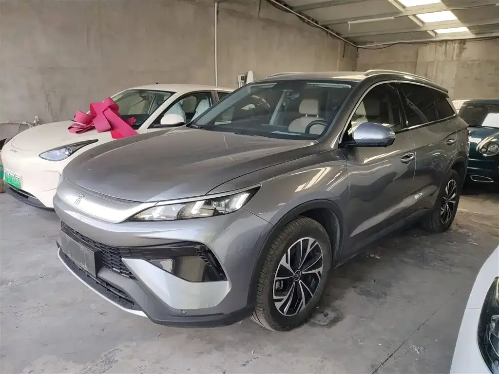 BYD Pro New Energy 2024 из CN, фото 1