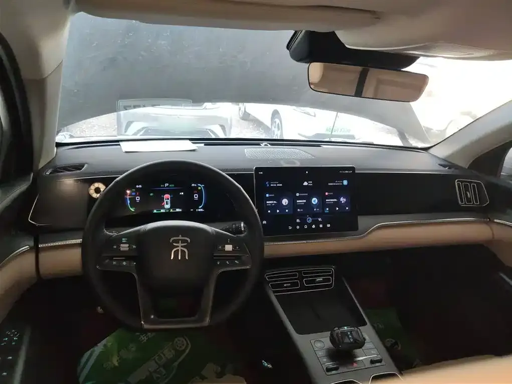 BYD Pro New Energy 2024 из CN, фото 10