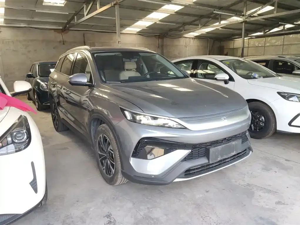 BYD Pro New Energy 2024 из CN, фото 4