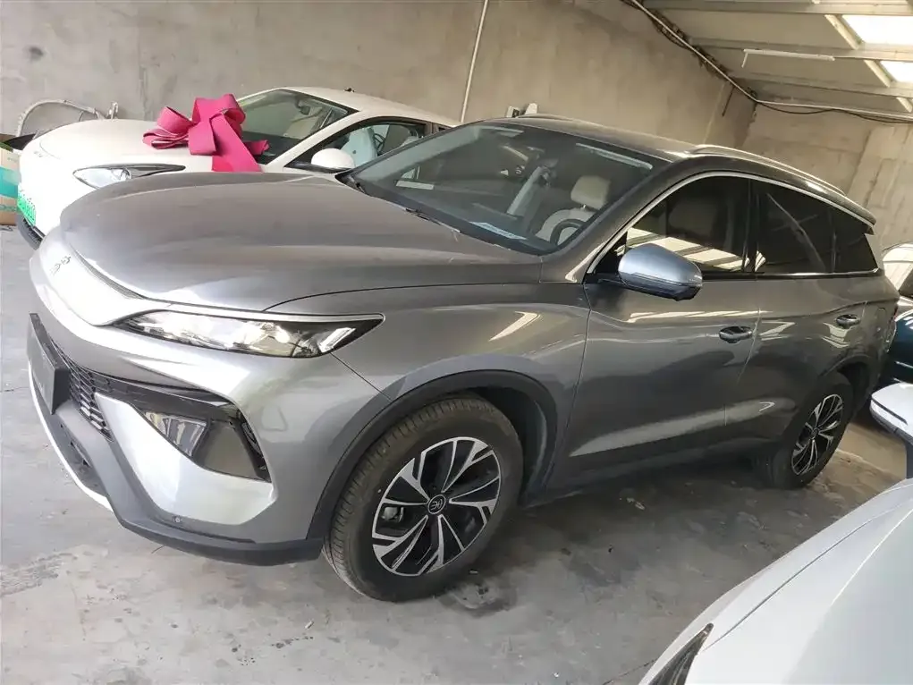 BYD Pro New Energy 2024 из CN, фото 5
