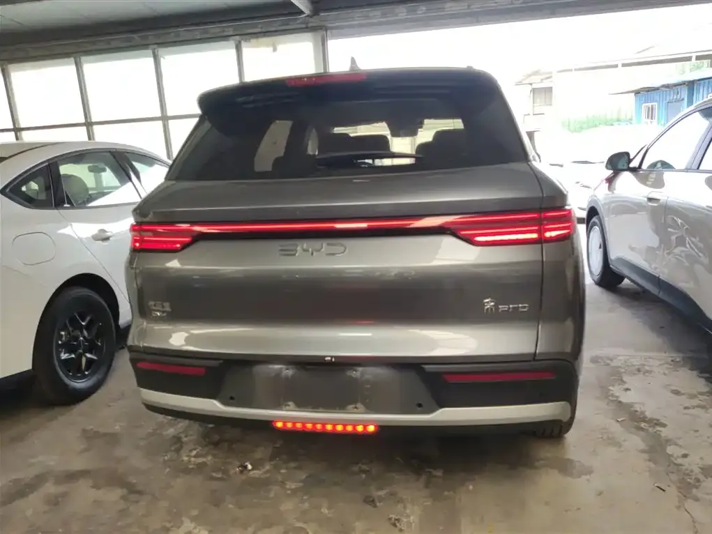 BYD Pro New Energy 2024 из CN, фото 6