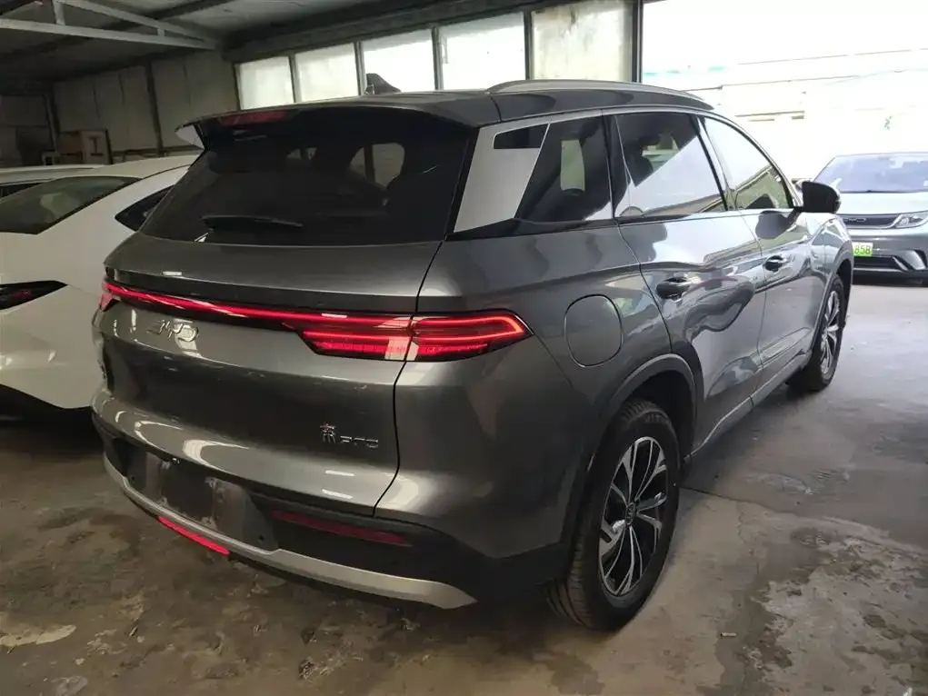 BYD Pro New Energy 2024 из CN, фото 7