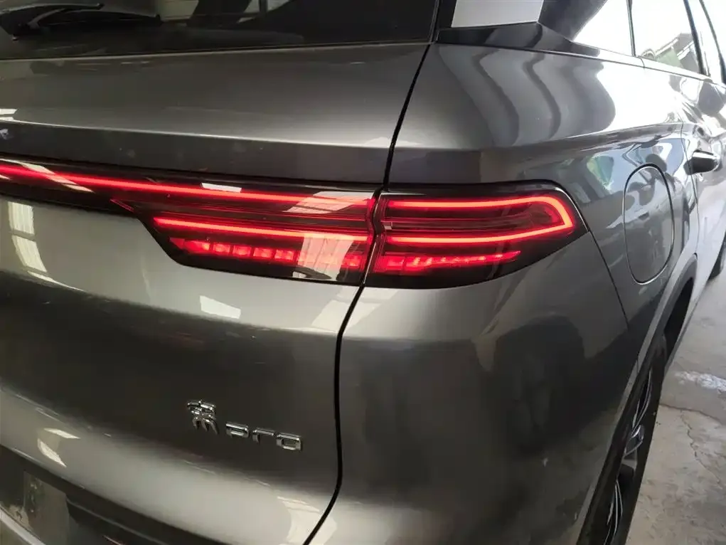 BYD Pro New Energy 2024 из CN, фото 8