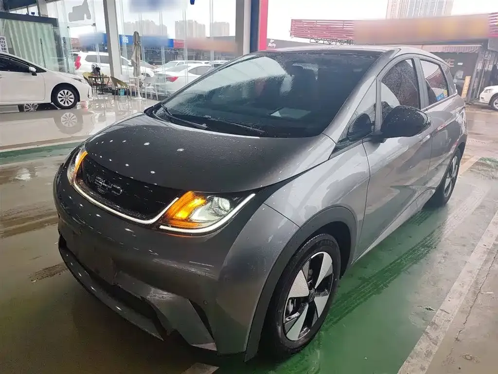 BYD Dolphin 2024 из CN, фото 2