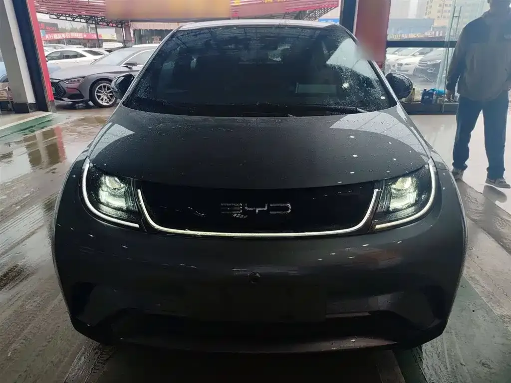 BYD Dolphin 2024 из CN, фото 3