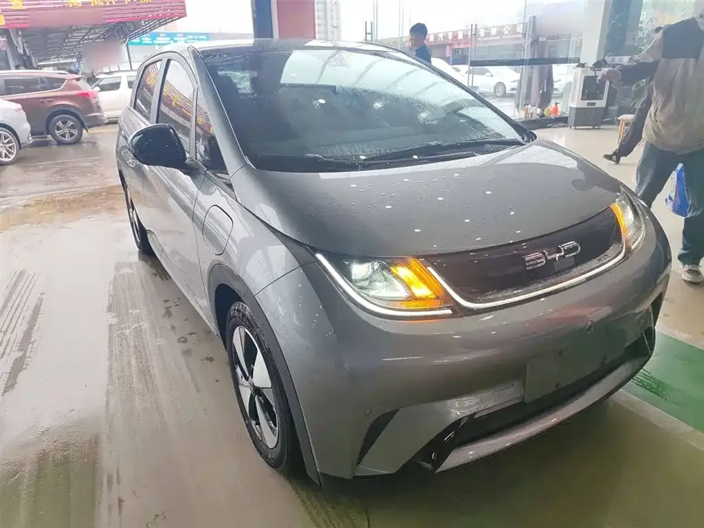 BYD Dolphin 2024 из CN, фото 4