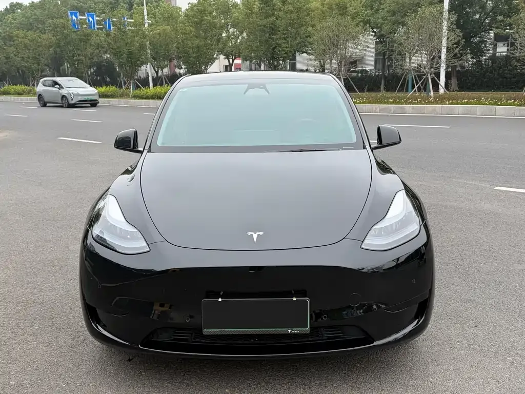 Tesla Model Y — фото 2