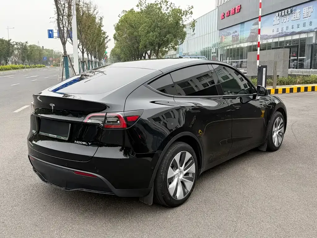 Tesla Model Y — фото 5