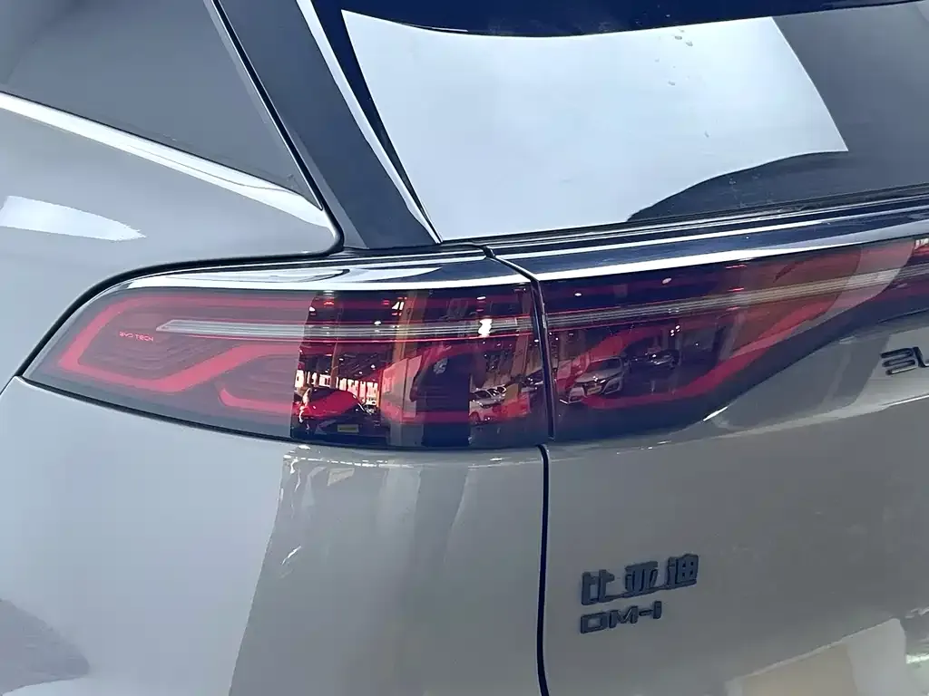 BYD Tang New Energy 2024 из CN, фото 10