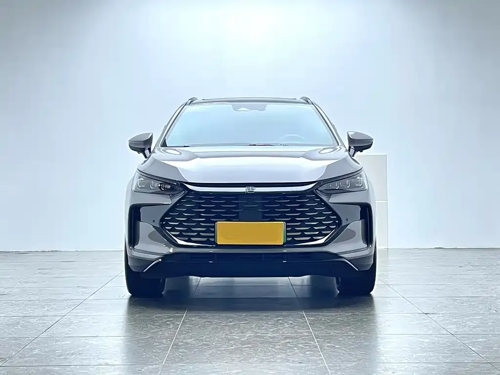 BYD Tang New Energy 2024 из CN, фото 2