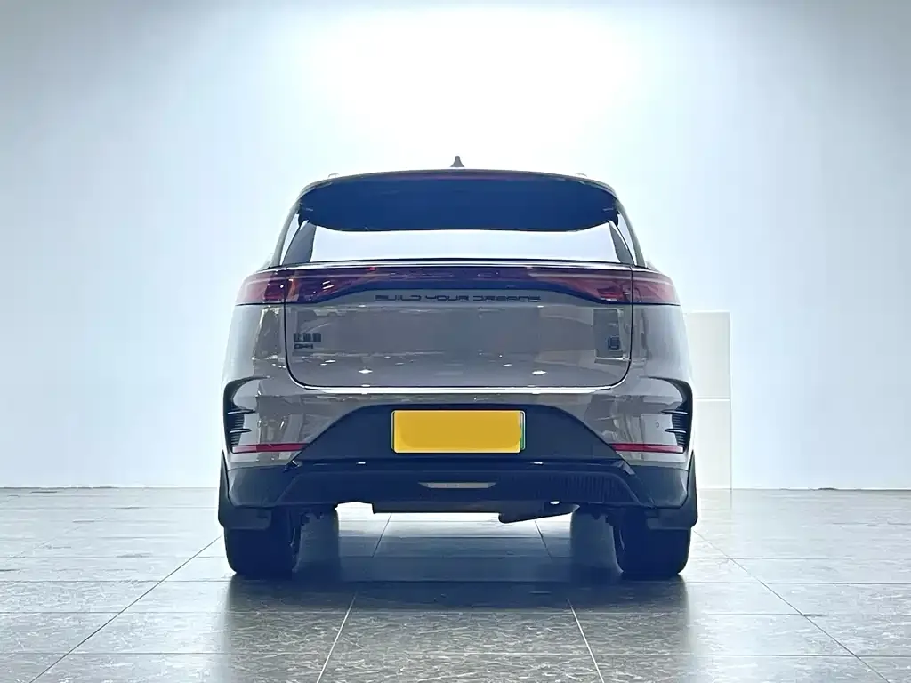 BYD Tang New Energy 2024 из CN, фото 6