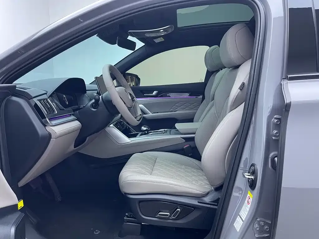 BYD Tang New Energy 2024 из CN, фото 8