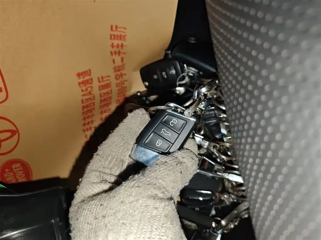 [object Object] Magotan GTE PHEV 2021 из CN, фото 9