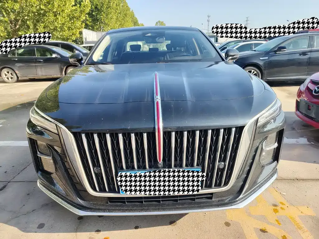 Hongqi H5 2023 из CN, фото 2