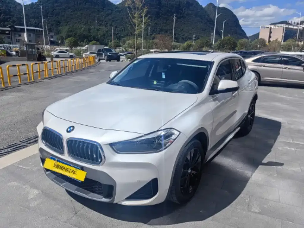 BMW X2 2021 из CN, фото 1