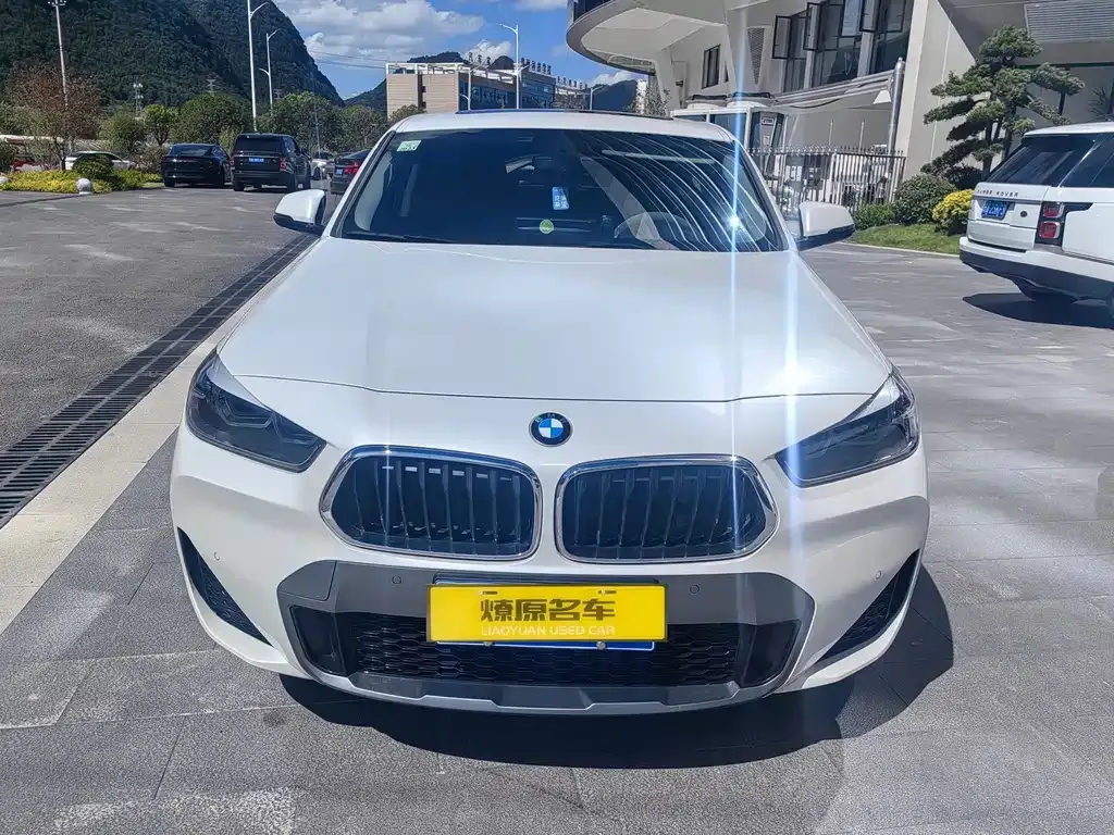 BMW X2 2021 из CN, фото 2