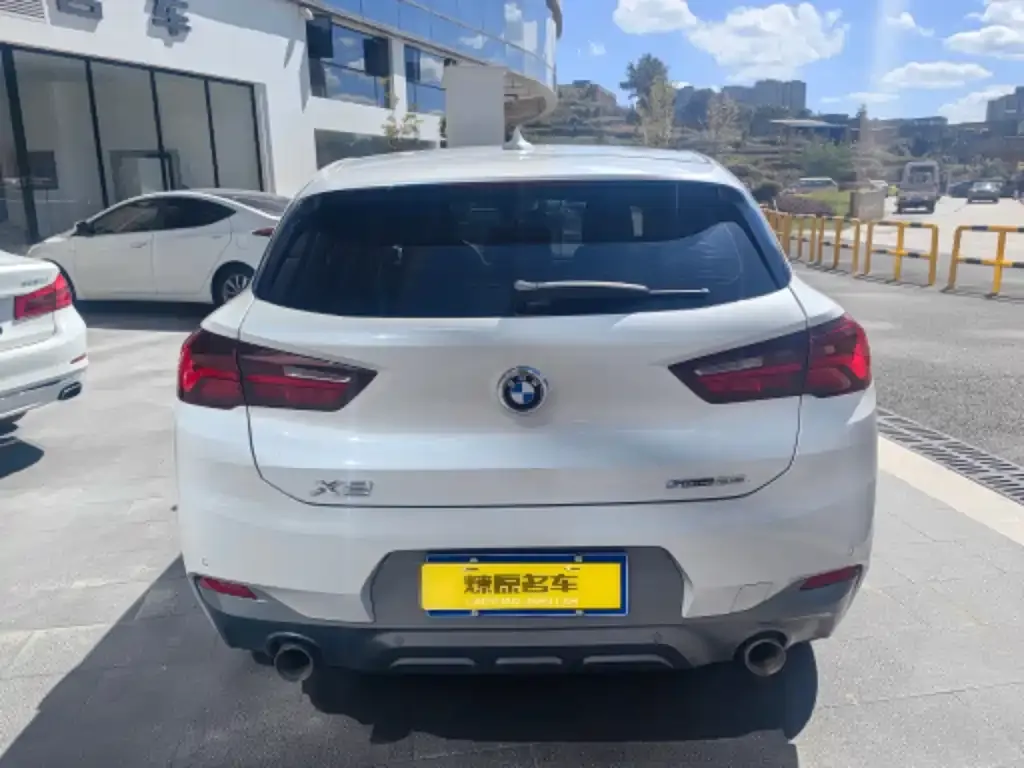 BMW X2 2021 из CN, фото 3