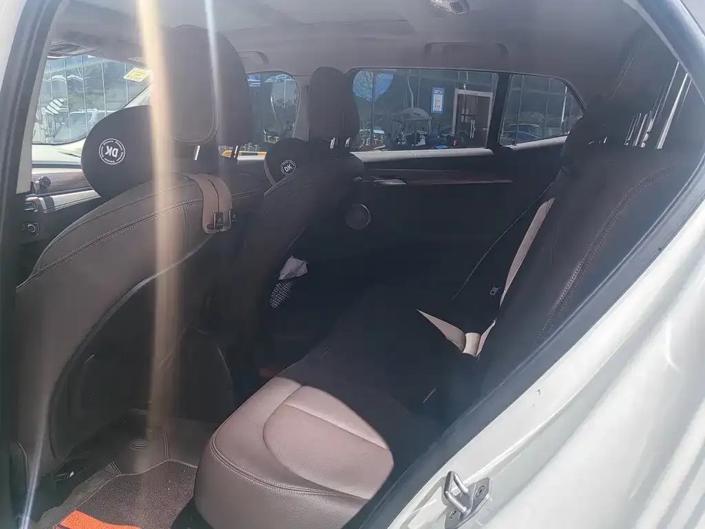 BMW X2 2021 из CN, фото 7