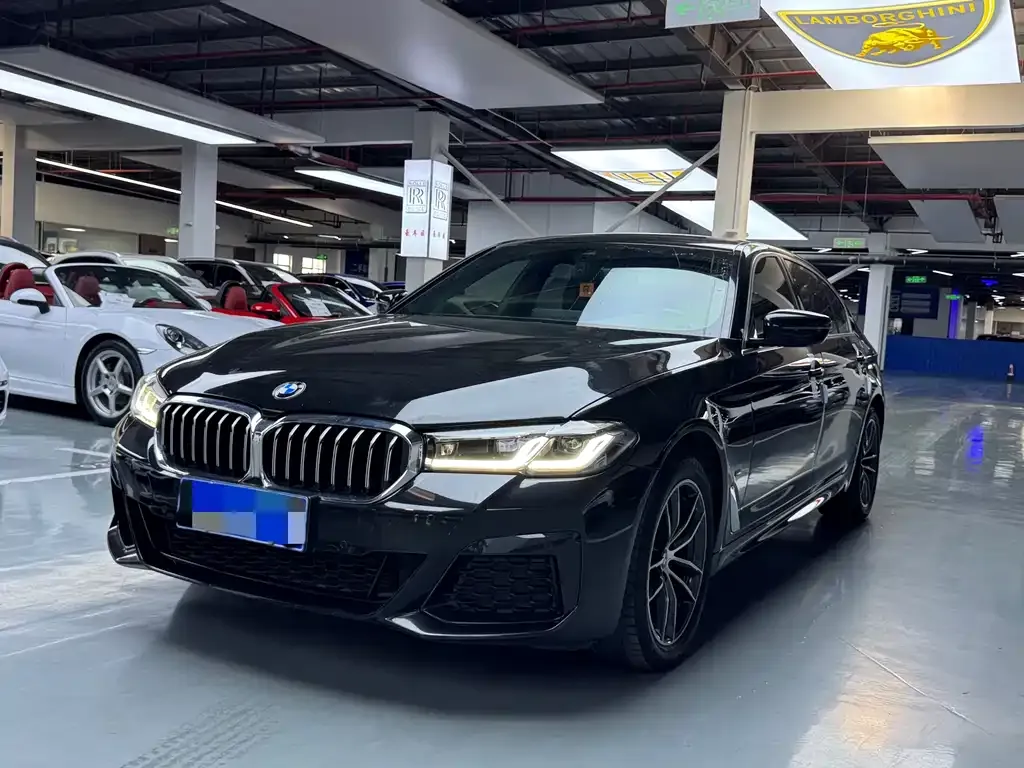 BMW 5 Series 2022 из CN, фото 1