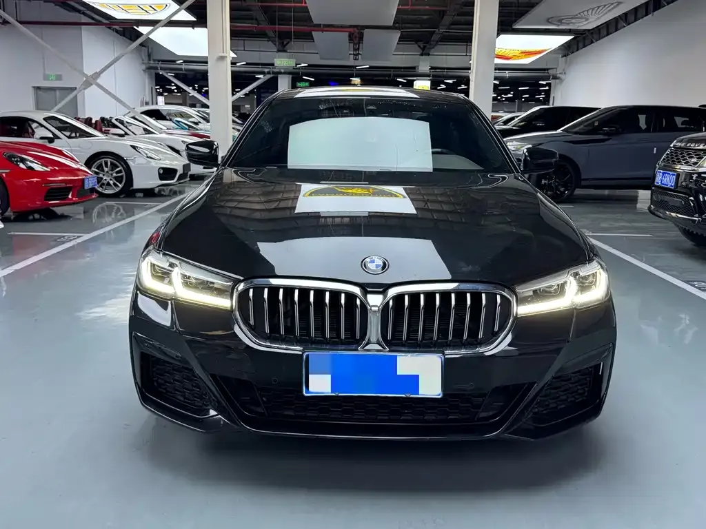 BMW 5 Series 2022 из CN, фото 2