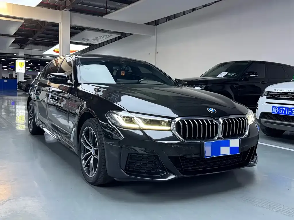 BMW 5 Series 2022 из CN, фото 3