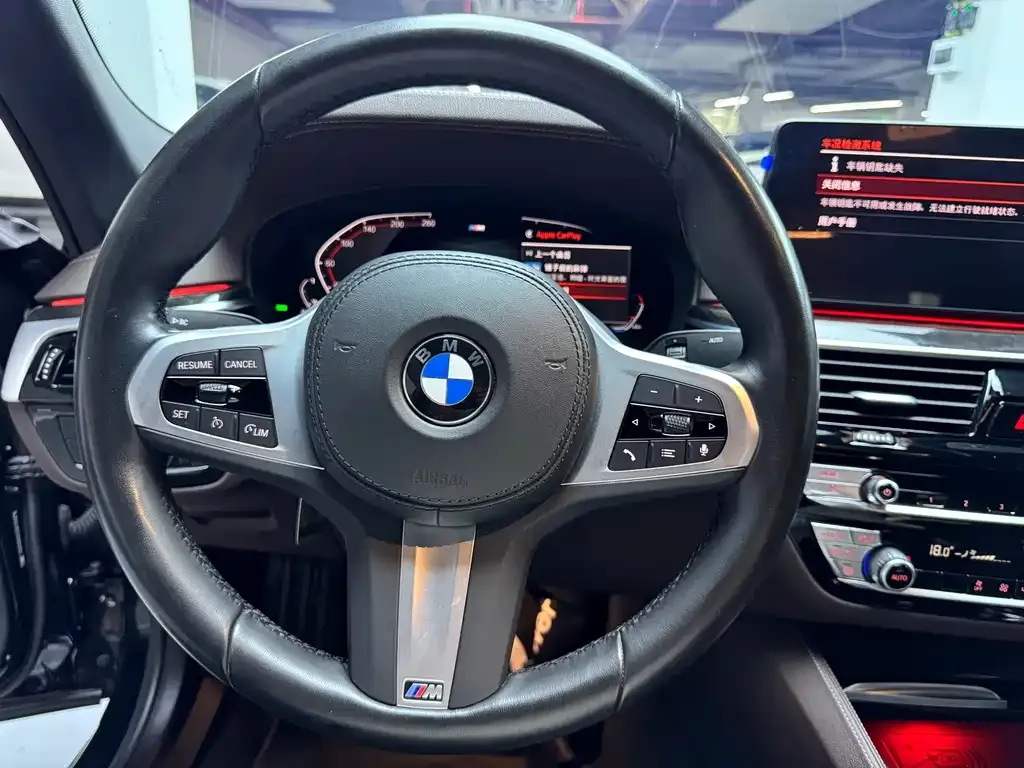 BMW 5 Series 2022 из CN, фото 6