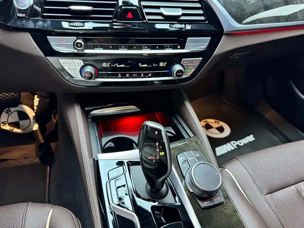 BMW 5 Series 2022 из CN, фото 8