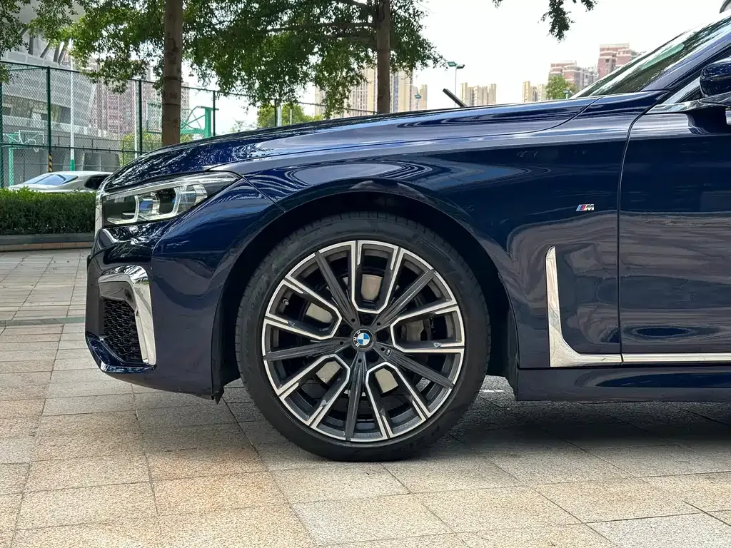 BMW 7 Series 2021 из CN, фото 5